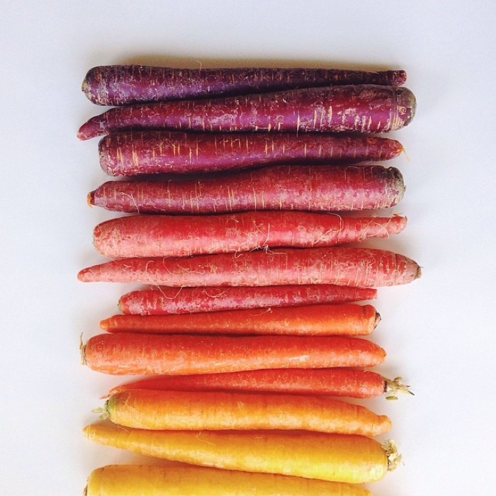 food-arrangement-photography-foodgradients-brittany-wright-70