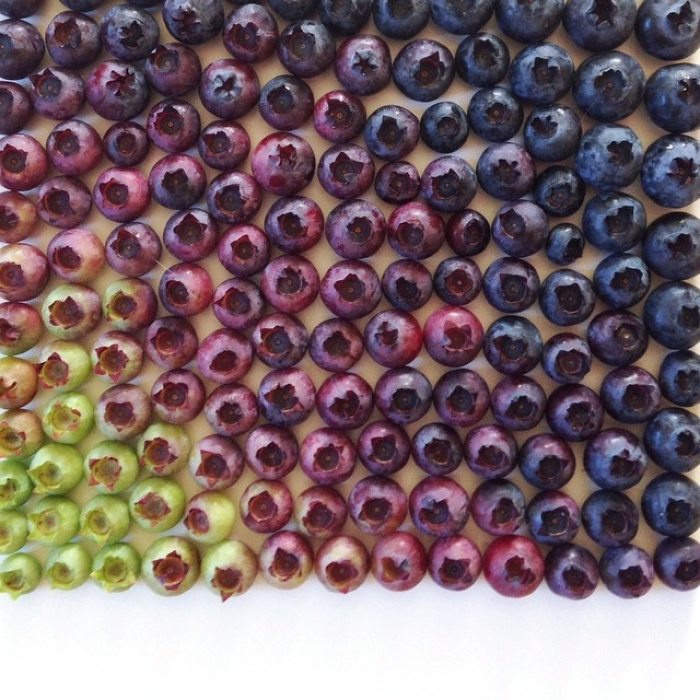 food-arrangement-photography-foodgradients-brittany-wright-19