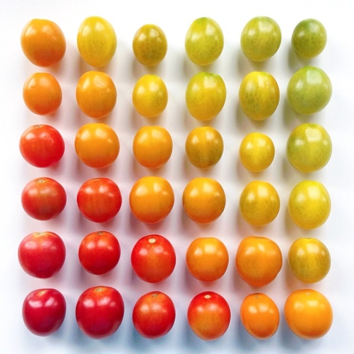 food-arrangement-photography-foodgradients-brittany-wright-7
