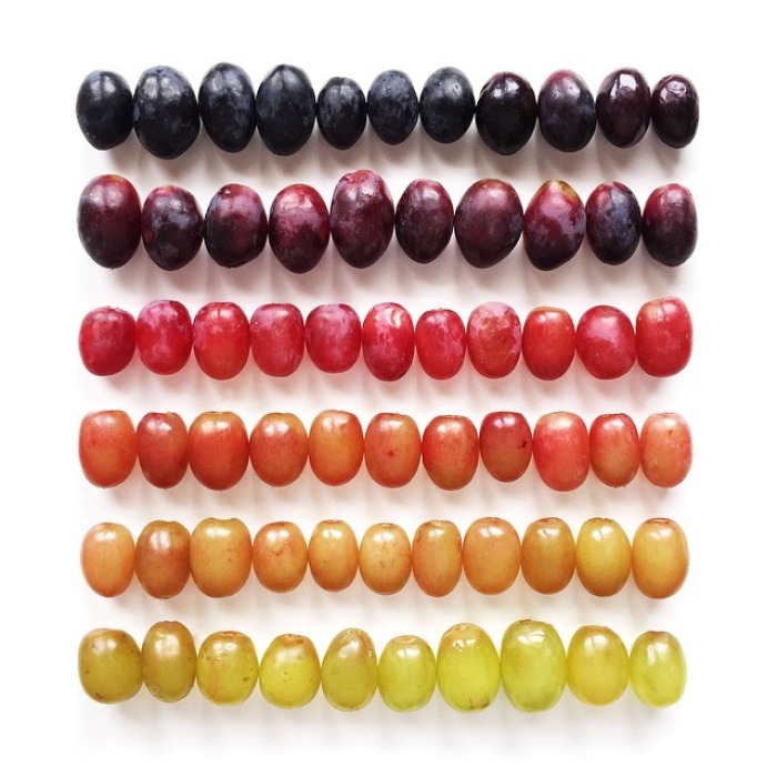 food-arrangement-photography-foodgradients-brittany-wright-35