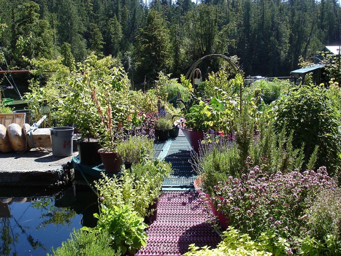 self-sustaining-off-grid-house-freedom-cove-wayne-adams-catherine-king-9