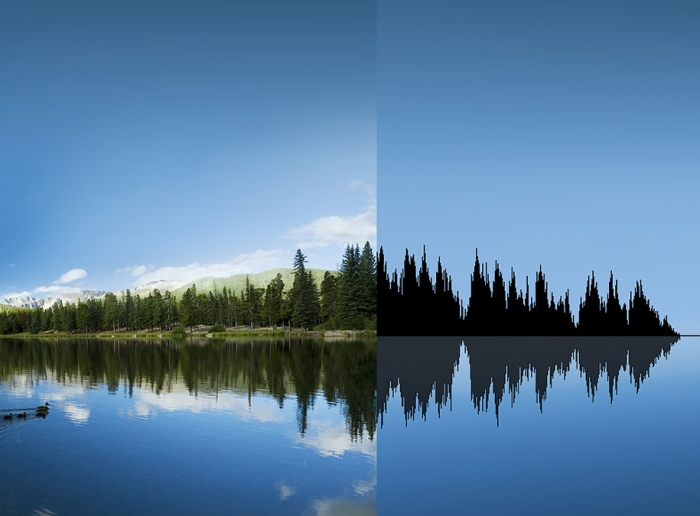 landscape-form-visualization-nature-sound-waves-anna-marinenko-11