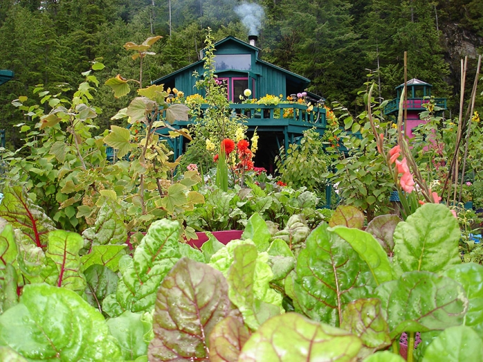 self-sustaining-off-grid-house-freedom-cove-wayne-adams-catherine-king-11