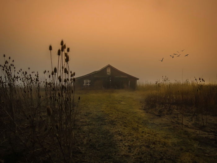 cheap-old-canon-camera-single-mom-amazing-photographer-meagan-blazier-1