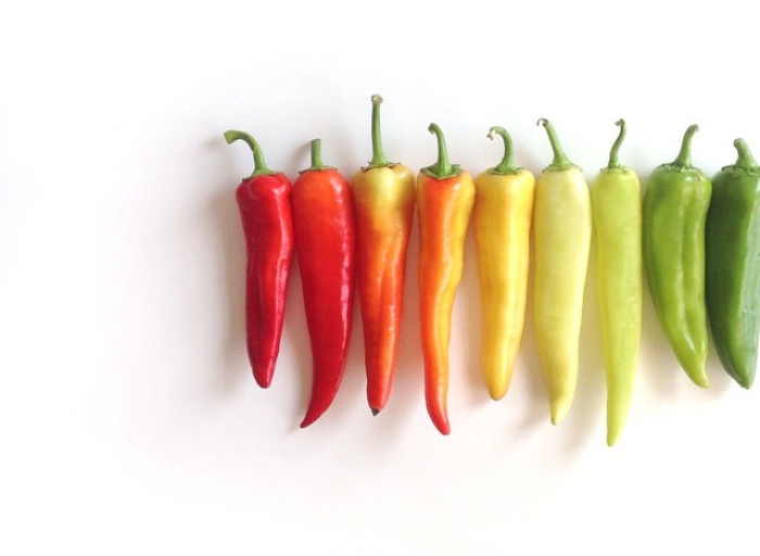 food-arrangement-photography-foodgradients-brittany-wright-75