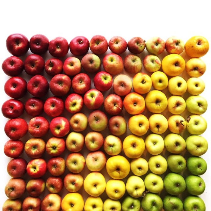 food-arrangement-photography-foodgradients-brittany-wright-36