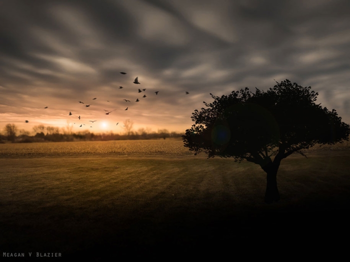 cheap-old-canon-camera-single-mom-amazing-photographer-meagan-blazier-2