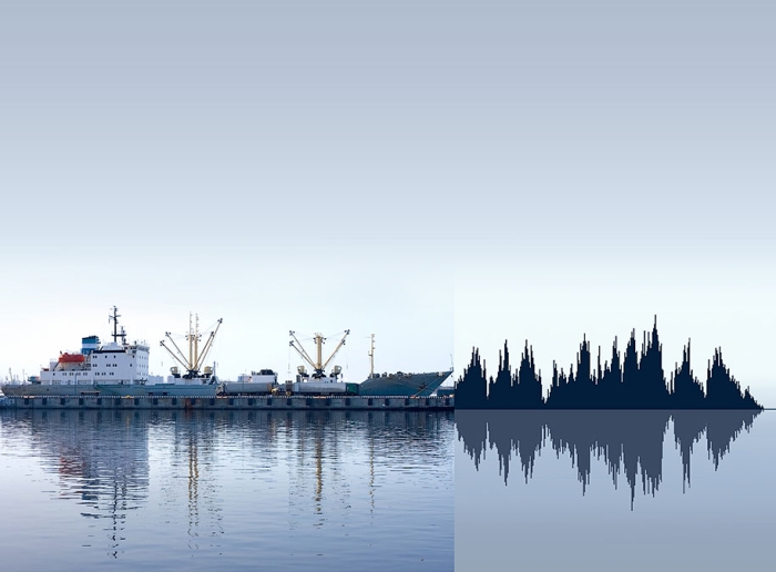 landscape-form-visualization-nature-sound-waves-anna-marinenko-13