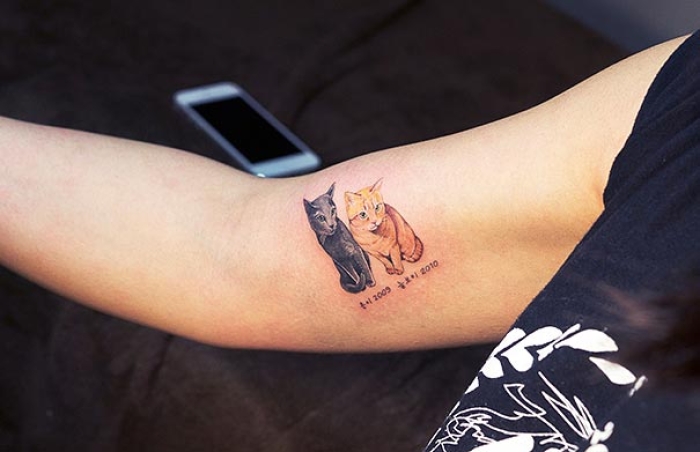 cat-tattoos-trend-illegal-parlors-south-korea-18