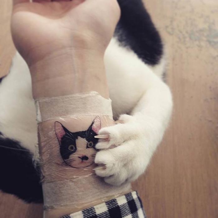 cat-tattoos-trend-illegal-parlors-south-korea-9
