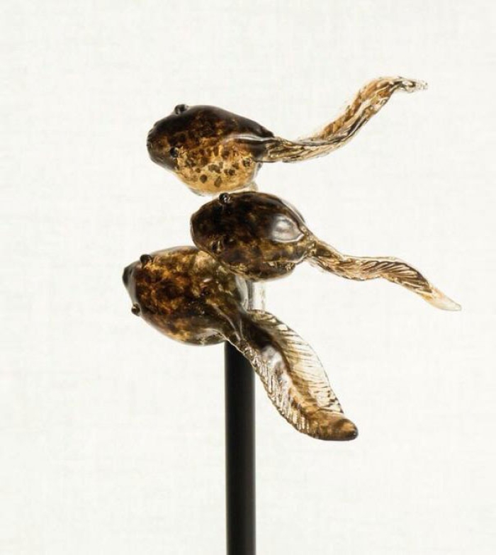 hyper-realistic-animal-lollipops-amezaiku-shinri-tezuka-japan-18