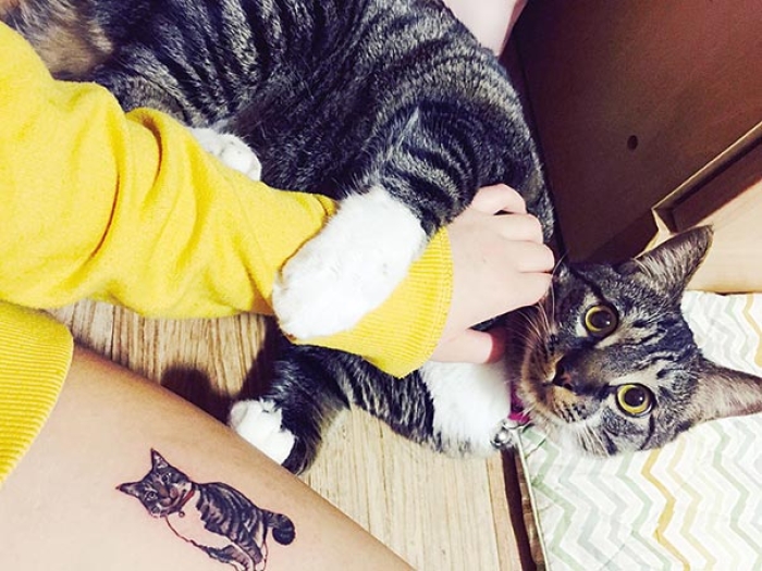 cat-tattoos-trend-illegal-parlors-south-korea-1