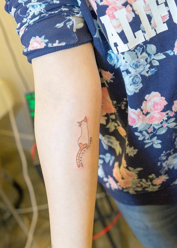 cat-tattoos-trend-illegal-parlors-south-korea-16