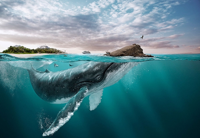 digital-art-tourism-ad-all-you-need-ecuador-manipula-4
