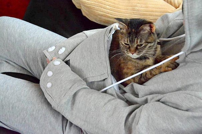 cat-pouch-pocket-hoodie-mewgaroo-14