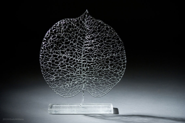 flameworked-glass-sea-life-sculptures-emily-williams-19
