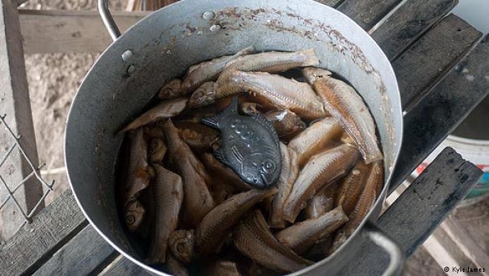 deficiency-anemia-cure-lucky-iron-fish-christopher-charles-cambodia-1