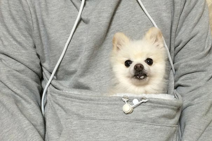 cat-pouch-pocket-hoodie-mewgaroo-10