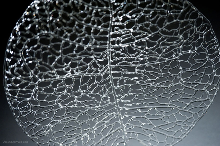 flameworked-glass-sea-life-sculptures-emily-williams-20