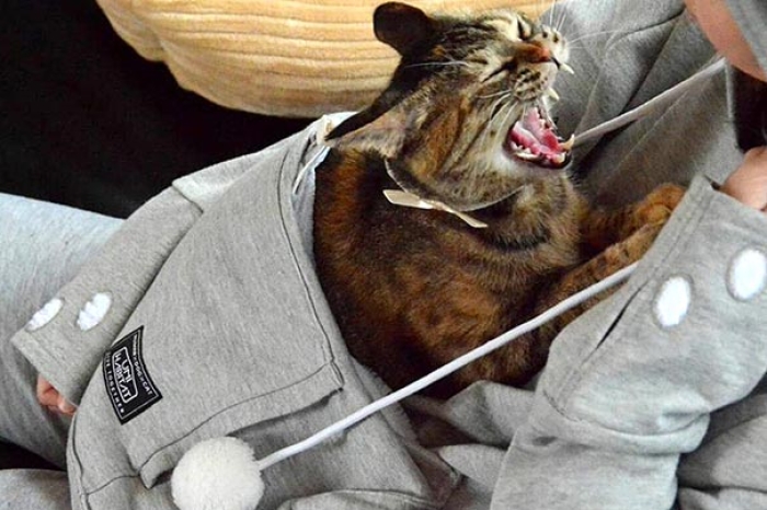 cat-pouch-pocket-hoodie-mewgaroo-7