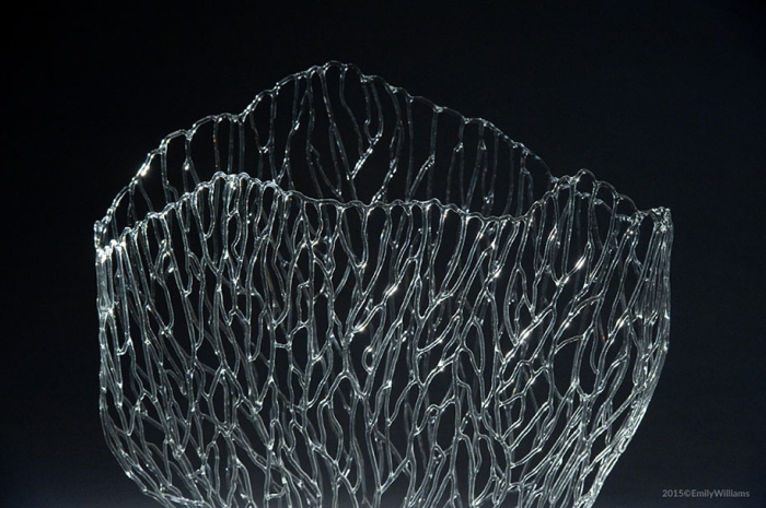 flameworked-glass-sea-life-sculptures-emily-williams-16