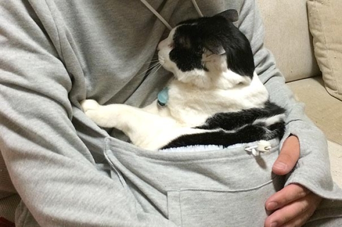 cat-pouch-pocket-hoodie-mewgaroo-2