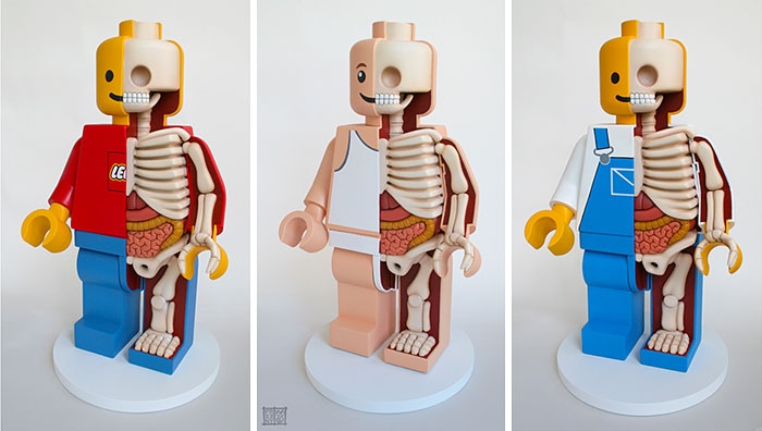 children-cartoon-toy-anatomy-bones-insides-jason-freeny-12