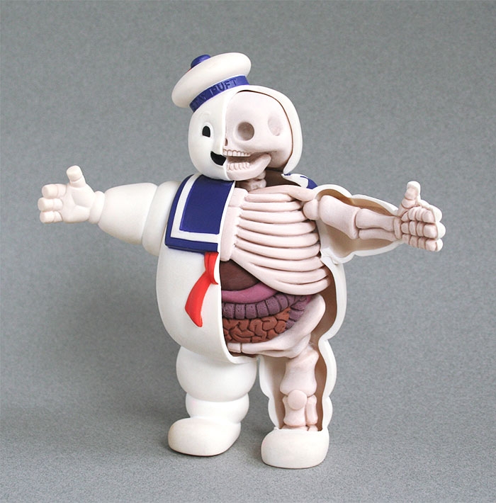 children-cartoon-toy-anatomy-bones-insides-jason-freeny-17