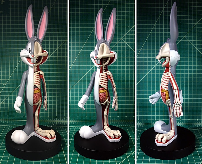 children-cartoon-toy-anatomy-bones-insides-jason-freeny-4