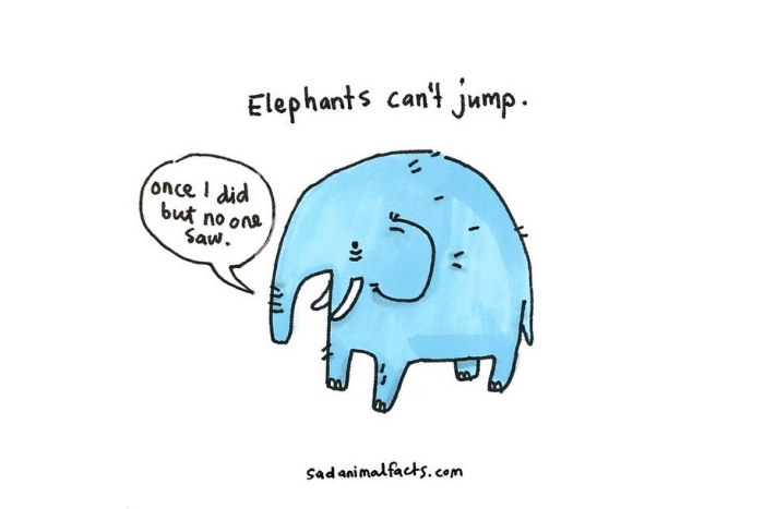 cute-illustrations-drawings-sad-animal-facts-brooke-barker-30