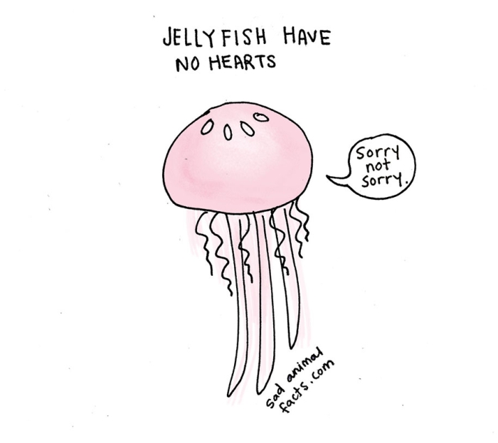 cute-illustrations-drawings-sad-animal-facts-brooke-barker-33