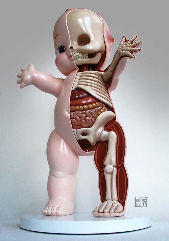 children-cartoon-toy-anatomy-bones-insides-jason-freeny-3