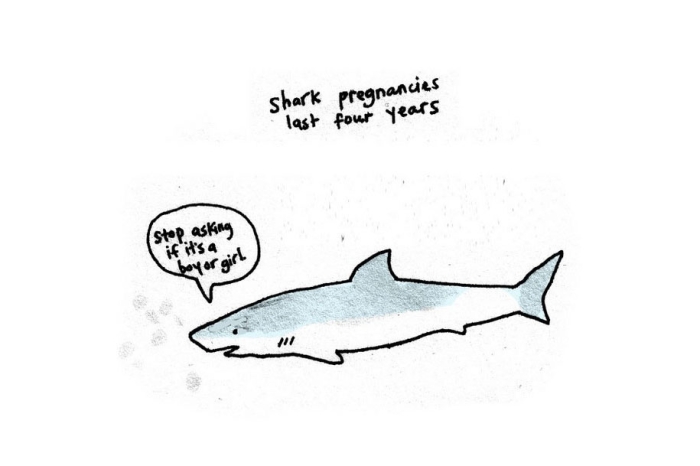 cute-illustrations-drawings-sad-animal-facts-brooke-barker-34