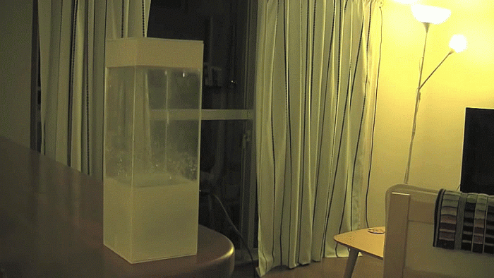 live-weather-forecast-box-tempescope-ken-kawamoto-4