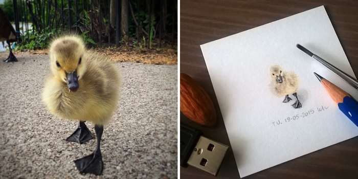 daily-instagram-inspired-art-drawings-tiny-spring-kasia-haldas-1