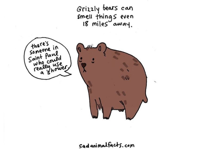 cute-illustrations-drawings-sad-animal-facts-brooke-barker-36