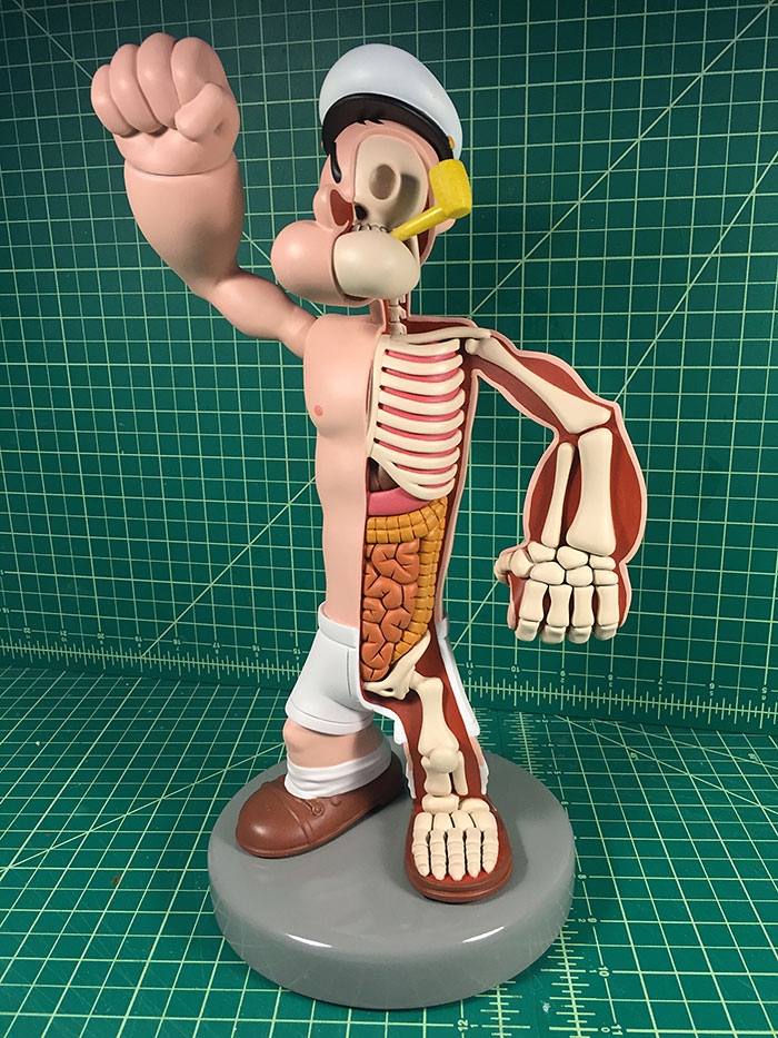 children-cartoon-toy-anatomy-bones-insides-jason-freeny-14
