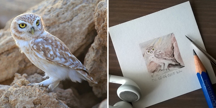 daily-instagram-inspired-art-drawings-tiny-spring-kasia-haldas-10