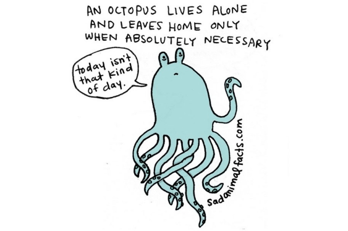 cute-illustrations-drawings-sad-animal-facts-brooke-barker-38