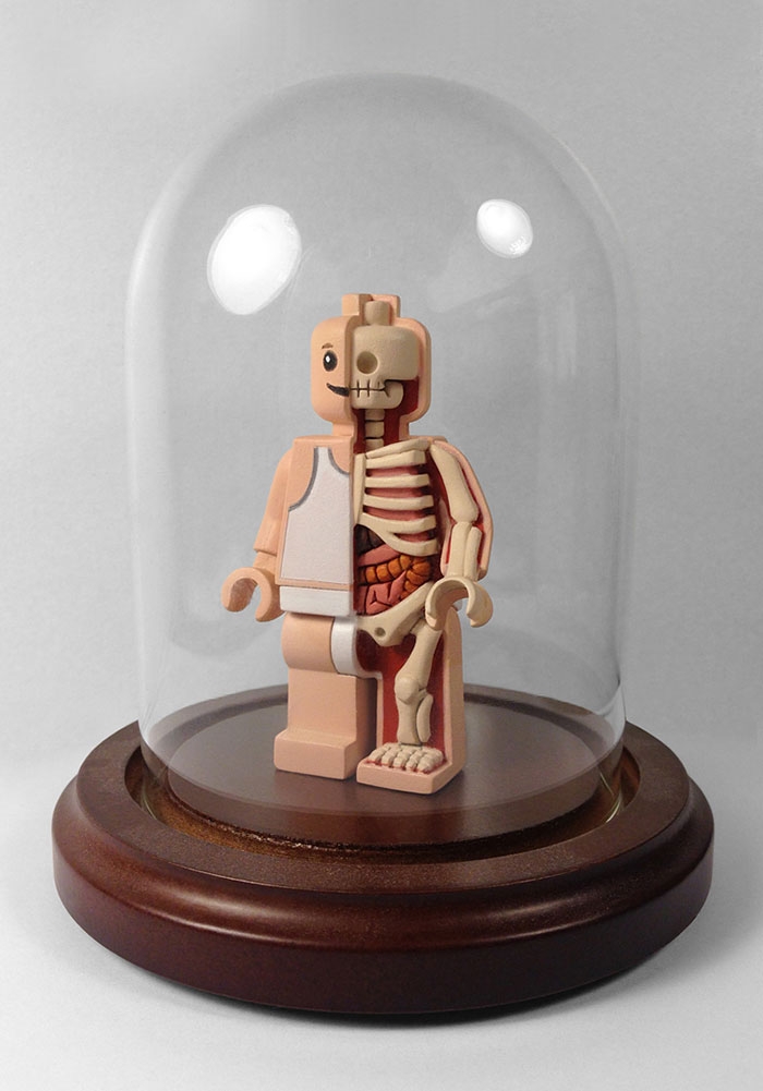 children-cartoon-toy-anatomy-bones-insides-jason-freeny-9