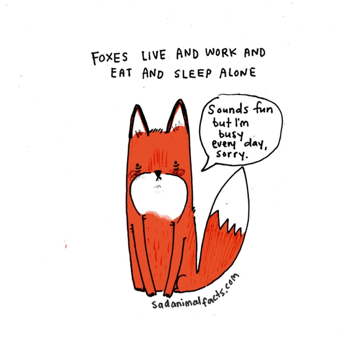 cute-illustrations-drawings-sad-animal-facts-brooke-barker-26