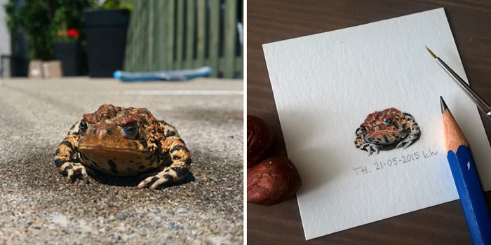 daily-instagram-inspired-art-drawings-tiny-spring-kasia-haldas-4