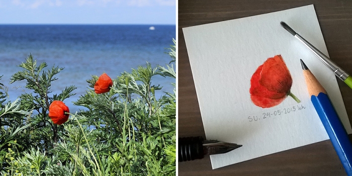 daily-instagram-inspired-art-drawings-tiny-spring-kasia-haldas-17