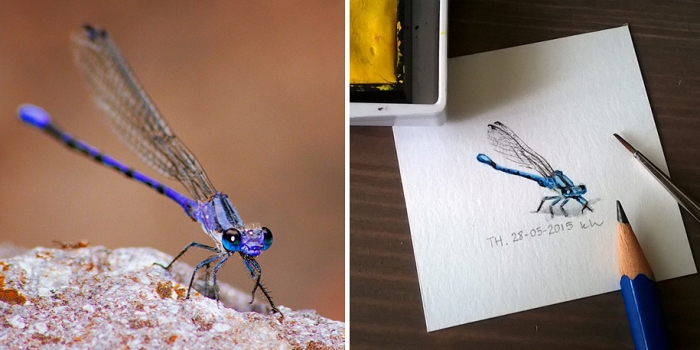 daily-instagram-inspired-art-drawings-tiny-spring-kasia-haldas-15