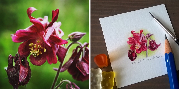 daily-instagram-inspired-art-drawings-tiny-spring-kasia-haldas-8