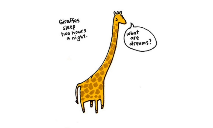 cute-illustrations-drawings-sad-animal-facts-brooke-barker-42