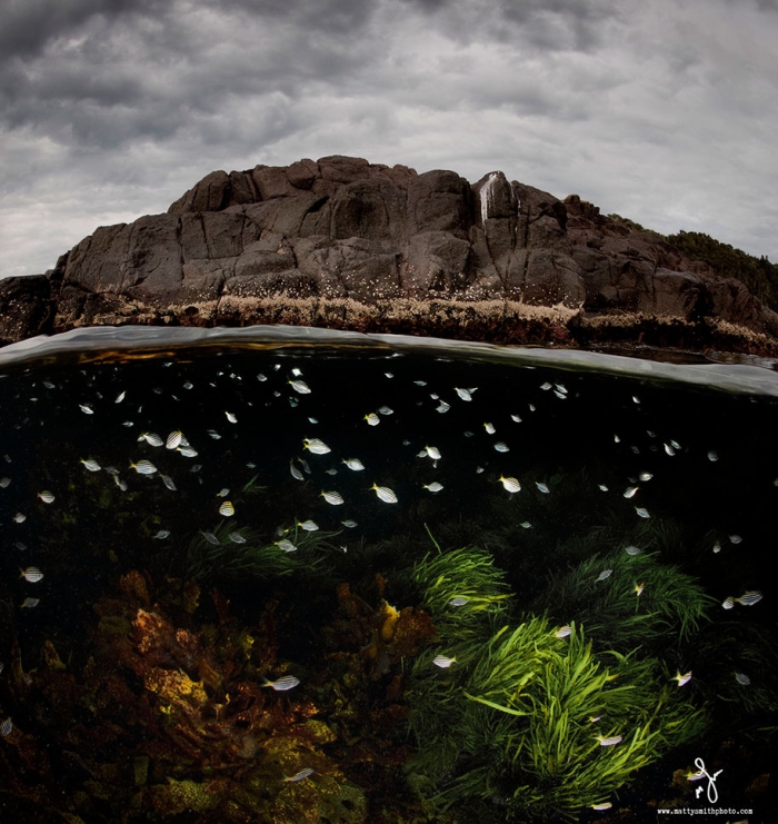 surface-half-underwater-photography-over-under-matty-smith-7