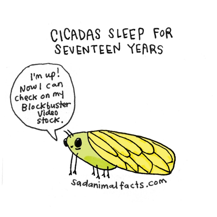 cute-illustrations-drawings-sad-animal-facts-brooke-barker-15