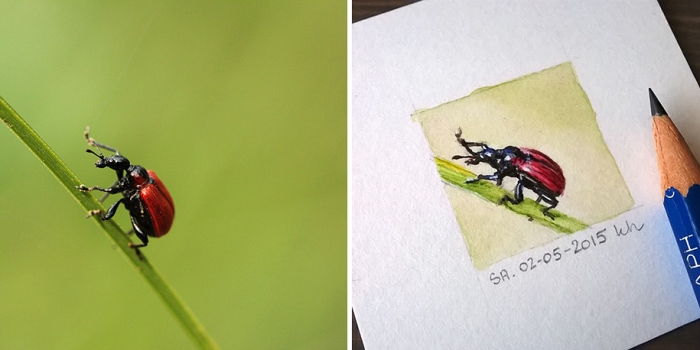 daily-instagram-inspired-art-drawings-tiny-spring-kasia-haldas-6