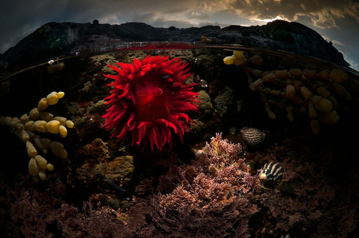 surface-half-underwater-photography-over-under-matty-smith-9